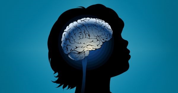  brain